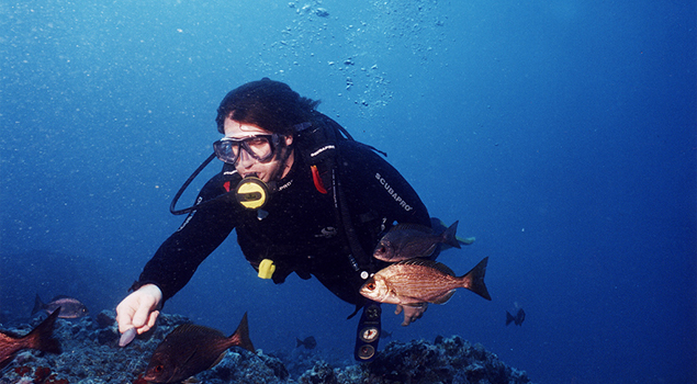 Duiken Canarische Eilanden - Gran Canaria