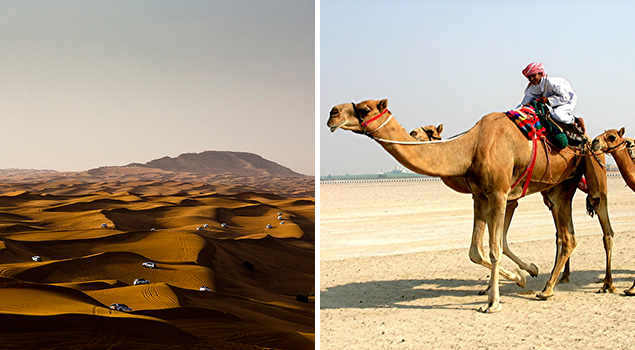 Bezienswaardigheden Dubai - Sahara