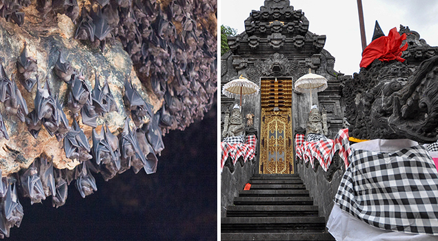 Vleermuizengrot Bali - - Bezienswaardigheden Bali