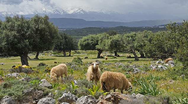 Mooie vakantiebestemmingen in Europa - Kreta