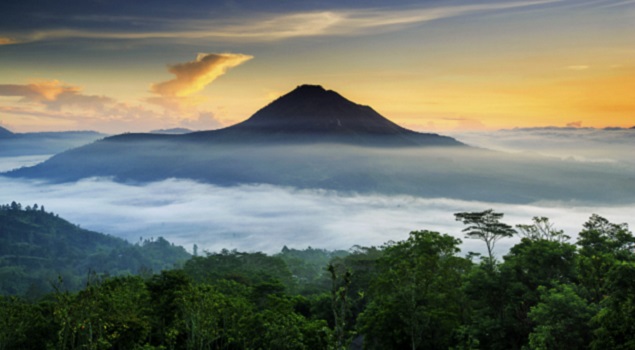 Natuur - Bali