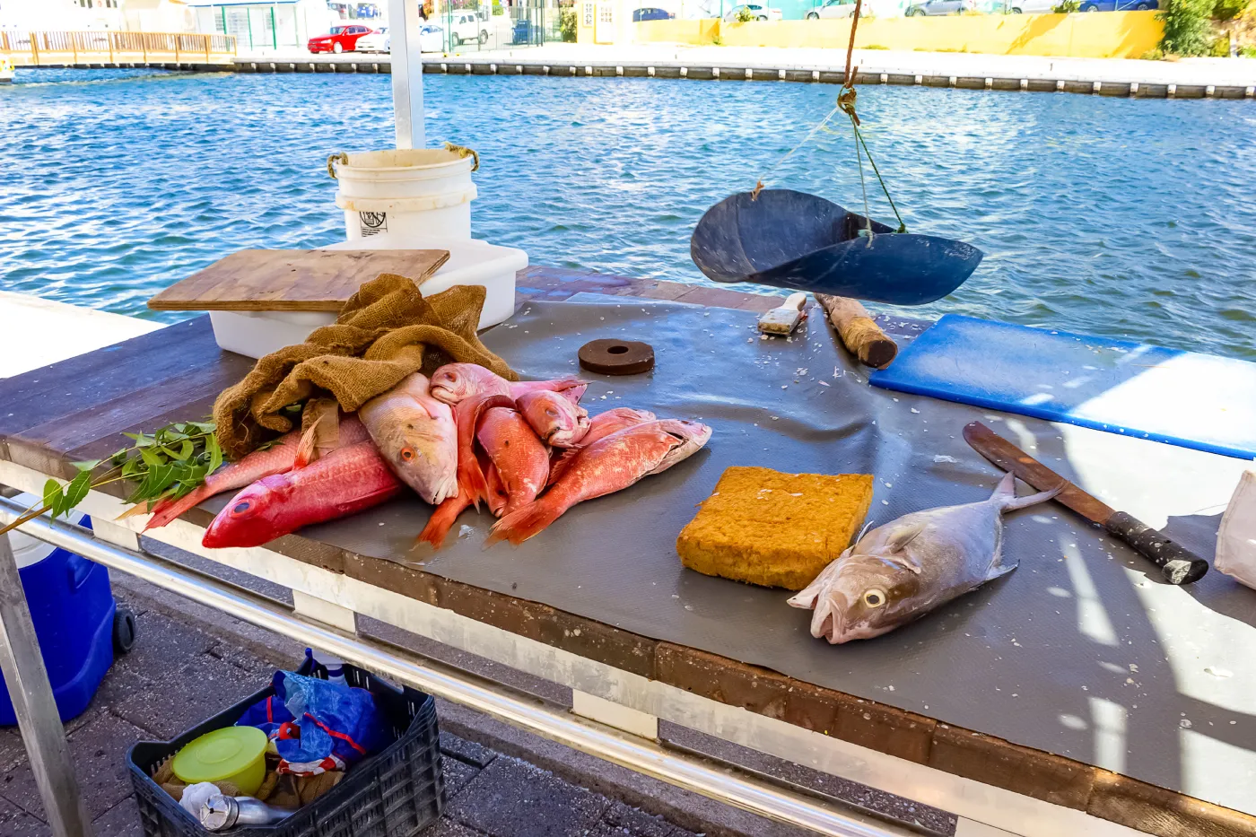 Verse vis op de vismarkt