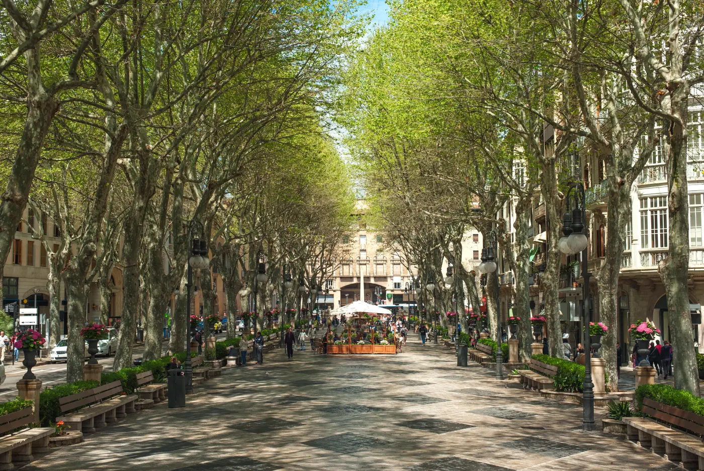 De boulevard van Palma de Mallorca