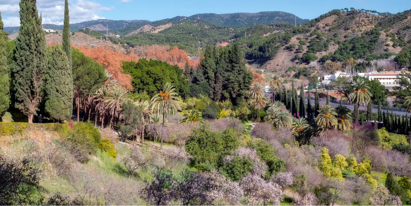 De botanische tuin La Concepción